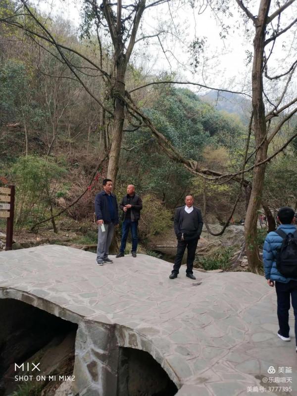 不該離世的摯友