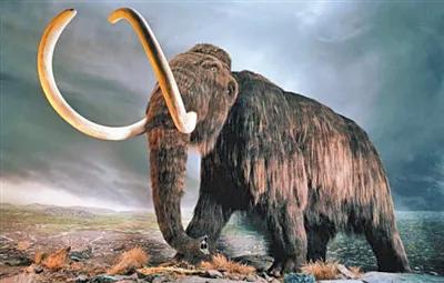 冰河時期的寶藏 冰河時期的寶藏