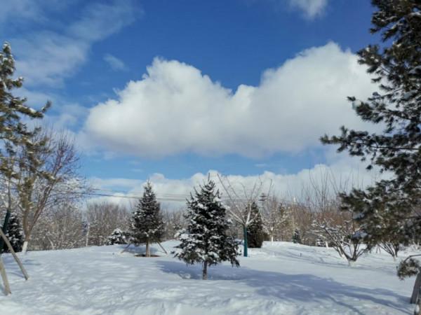 美景點靚山河，雪映特變錦繡