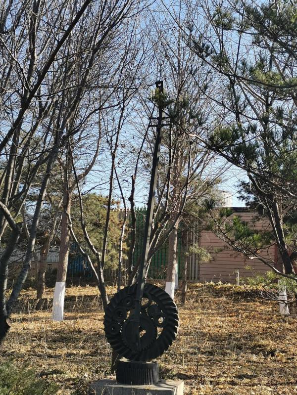 陽光下漫步北京國際雕塑公園（五）