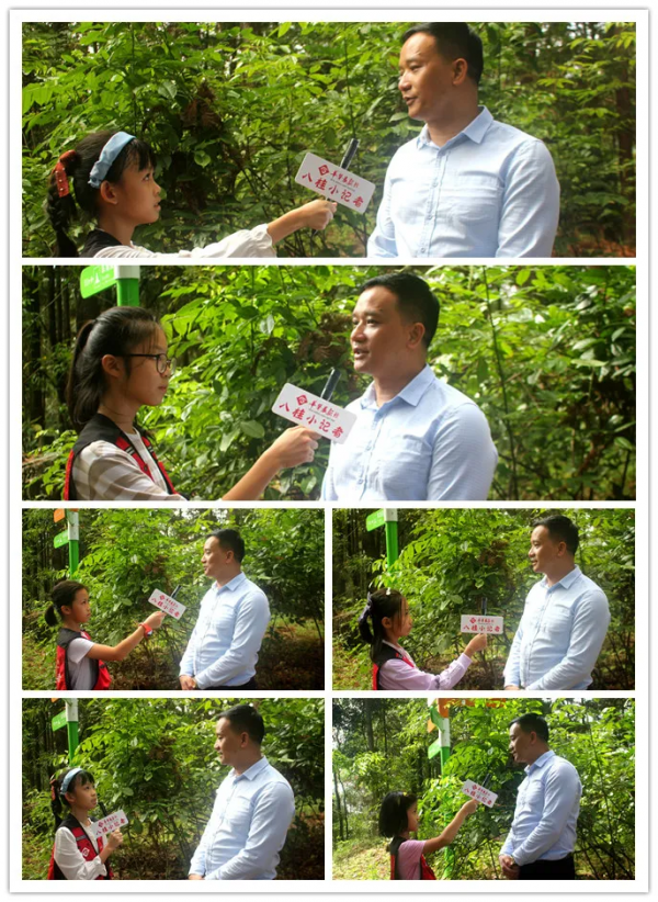 小記遊學高峰森林公園:研學路辨中草藥材,訪靈芝谷看林下經濟 小記遊學高峰森林公園:研學路辨中草藥材,訪靈芝谷看林下經濟