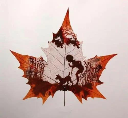 一葉知秋,一葉一世界 一葉知秋,一葉一世界