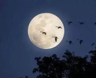 沒有月餅的中秋節