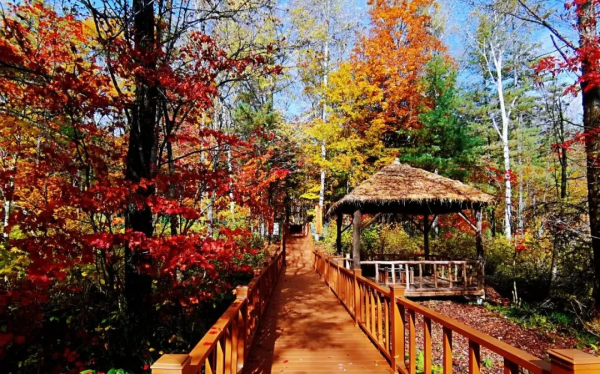 這個十月， 敦化寒蔥嶺許你一個浪漫的秋季