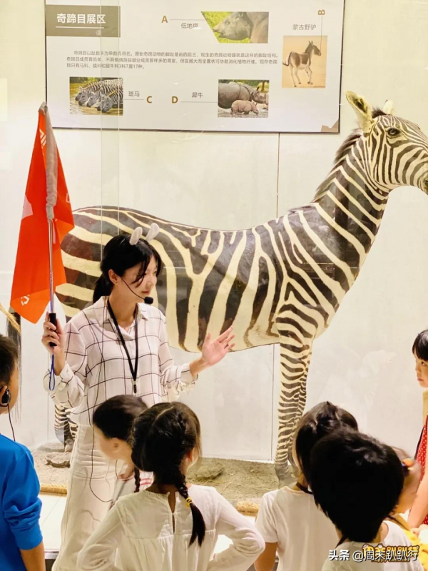 親子打卡!科學探索,細菌好有趣啊,參觀1000+件標本 親子打卡!科學探索,細菌好有趣啊,參觀1000+件標本