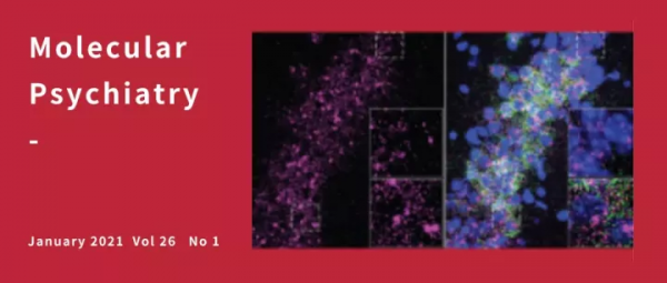 Nature子刊:劉河生教授發現精神疾病患者腦活動的核心紊亂z Nature子刊:劉河生教授發現精神疾病患者腦活動的核心紊亂z