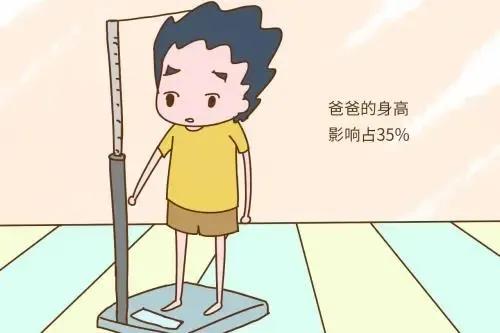 夫妻倆誰的基因決定孩子的長相和智商？