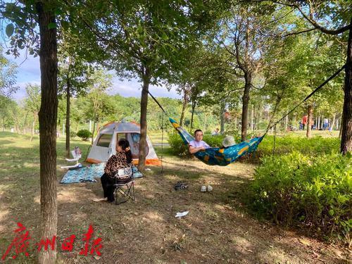 暖陽好時節，秋遊正當時