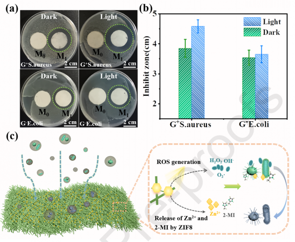PVDF&sol;ZIF8光致抗菌膜的製備及其PM2&period;5-0&period;3捕獲和油水分離效能研究