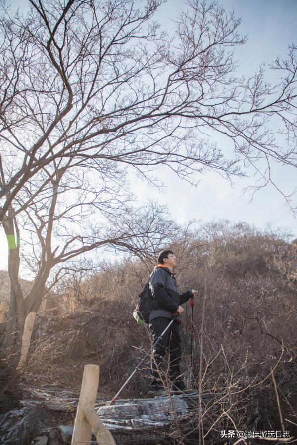 北京徒步登山：房山藥王谷環穿，三水步道泗馬溝段，灌木叢段太野