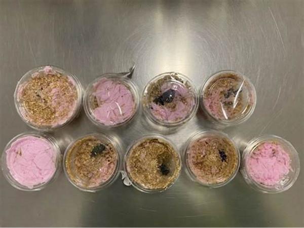 日本點心夾帶4頭黃金鬼鍬甲 生物入侵危害有多大？為何頻繁發生？