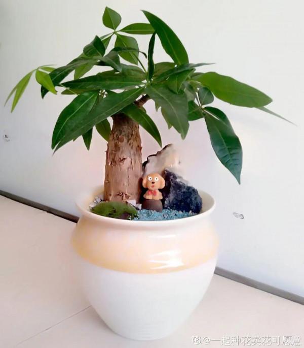 注意!花盆要是太深,養花要注意,很容易爛根 注意!花盆要是太深,養花要注意,很容易爛根