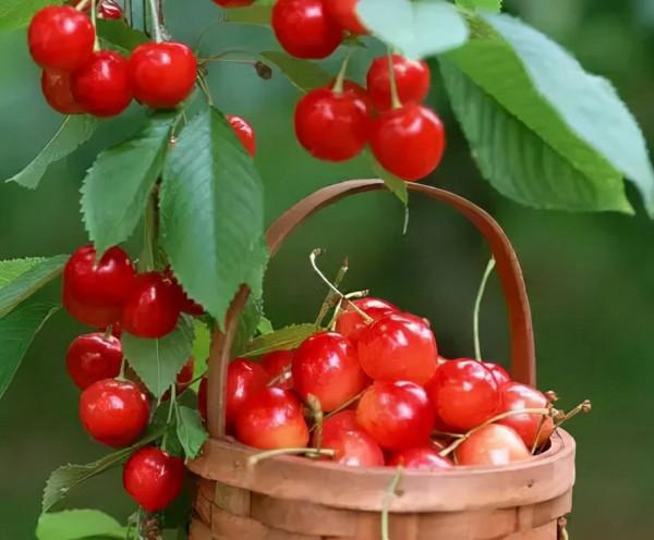 哪些食物是隱藏的兇手？