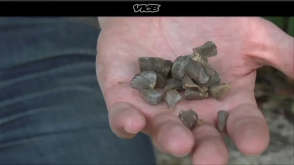 都市傳說中,只要一接觸就會失去意識的毒藥真的存在嗎? 都市傳說中,只要一接觸就會失去意識的毒藥真的存在嗎?