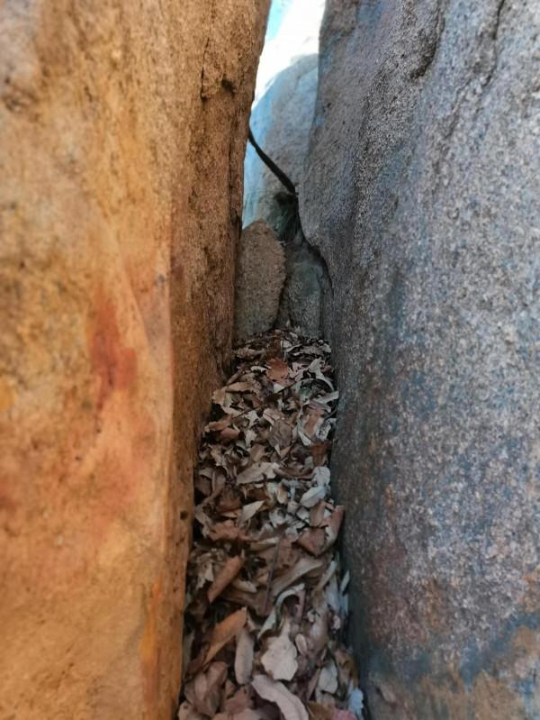 遊汝陽西石林之一武家山