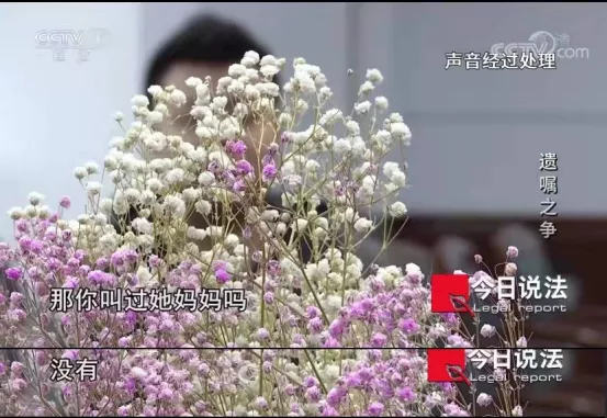 爺青回！撒貝南迴歸《今日說法》，主持遺囑之爭