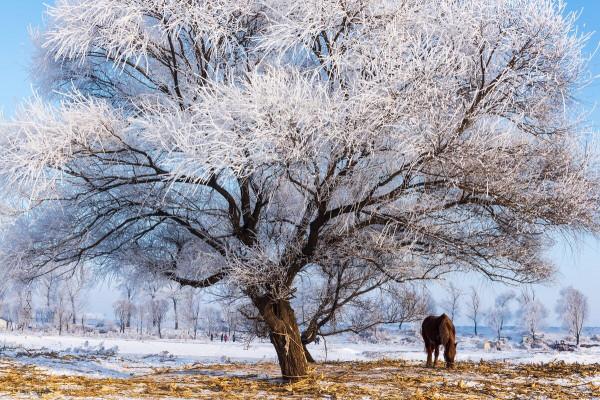 北國!北國 北國!北國