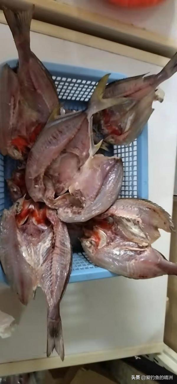 全世界最好食的魚曬乾