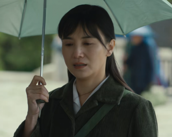 《人世間》還在爆，央視又一大劇定檔！王海燕主演，或成開年劇王