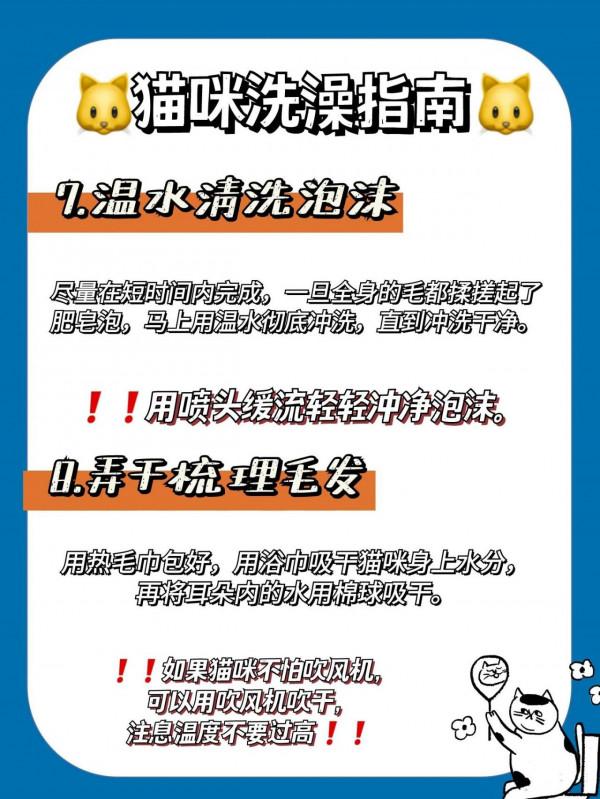 鏟屎官按照這八個步驟，你家貓咪秒變乖