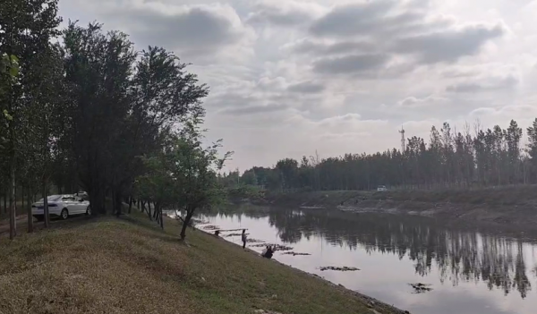 釣魚日記5 10月7日降溫4天初放晴 小河魚起浮 垂釣兩個半小時