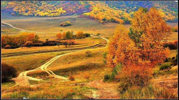 壩上邂逅——肉蘑王 壩上邂逅——肉蘑王