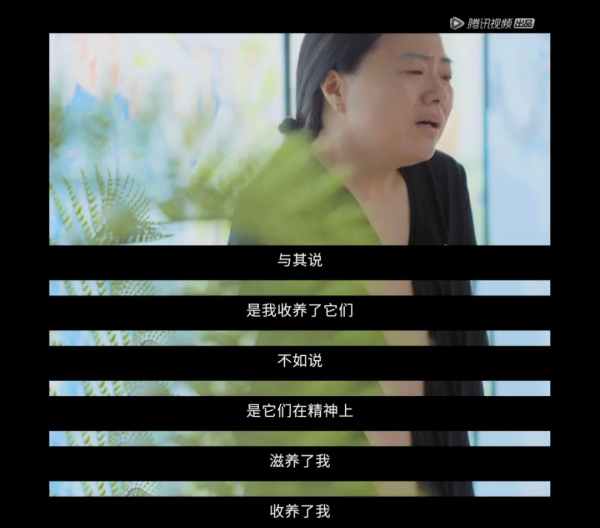 歐陽娜娜連辦3場葬禮哭上熱搜!網友破防了:這樣的告別我沒想過 歐陽娜娜連辦3場葬禮哭上熱搜!網友破防了:這樣的告別我沒想過