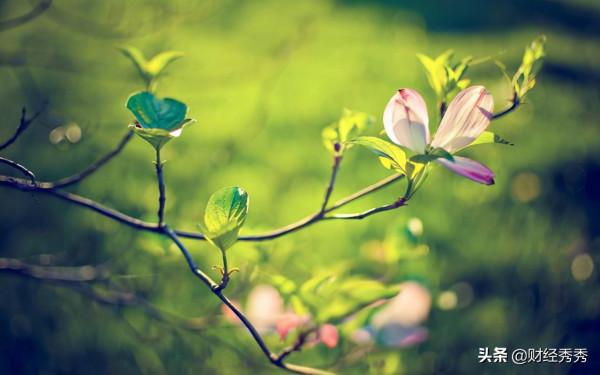 疫情2年，你還好嗎？