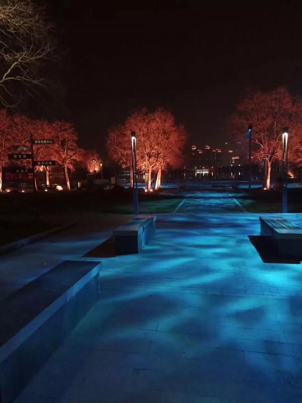 夜色龍子湖，燈火耀蒼穹。亦真亦幻