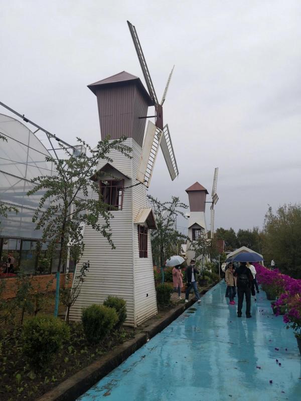 拍照勝地—拉市海湖濱公園（阿鄉哥）