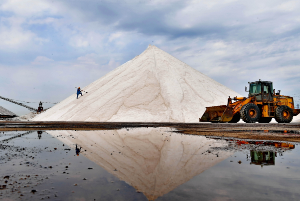 寵物到底用不用喂鹽?為什麼野生動物不用吃鹽,而人卻不吃不行? 寵物到底用不用喂鹽?為什麼野生動物不用吃鹽,而人卻不吃不行?