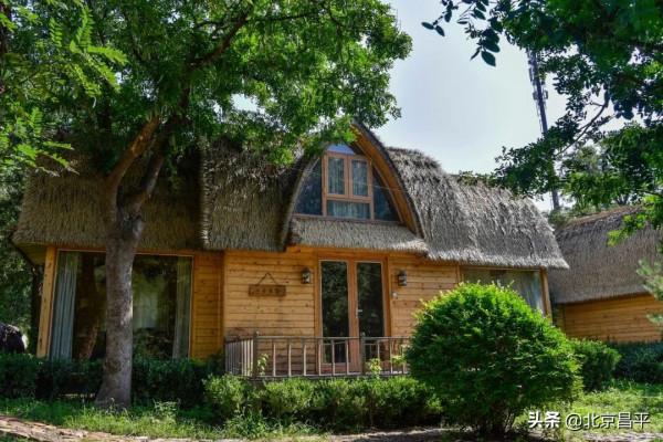 景美又好玩兒,體驗文化之旅,就在昌平這個大“花園”! 景美又好玩兒,體驗文化之旅,就在昌平這個大“花園”!