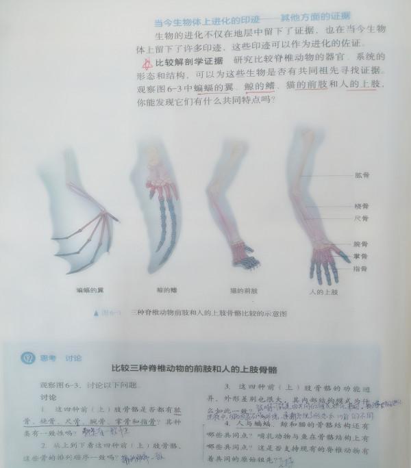 從寒潮低溫來看生物進化 從寒潮低溫來看生物進化