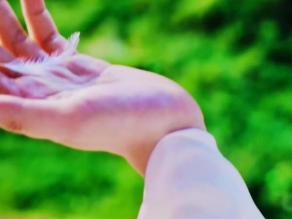 斛珠夫人大結局：羽毛從海市身邊飄過片尾曲結束落在了方鑑明手上