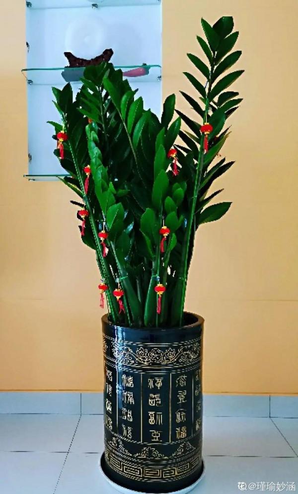 注意!花盆要是太深,養花要注意,很容易爛根 注意!花盆要是太深,養花要注意,很容易爛根