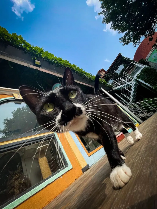 撤回這個問題，還來得及