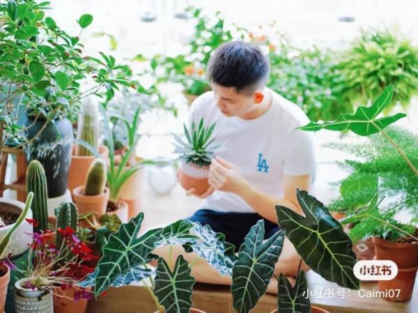 原來，獨居真的會上癮