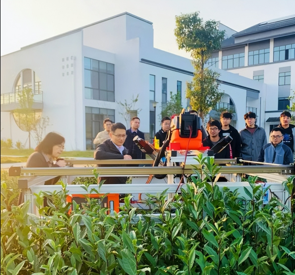 “採摘機器人”自動行走識嫩芽,浙江341畝茶園試推廣,智慧農業 “採摘機器人”自動行走識嫩芽,浙江341畝茶園試推廣,智慧農業