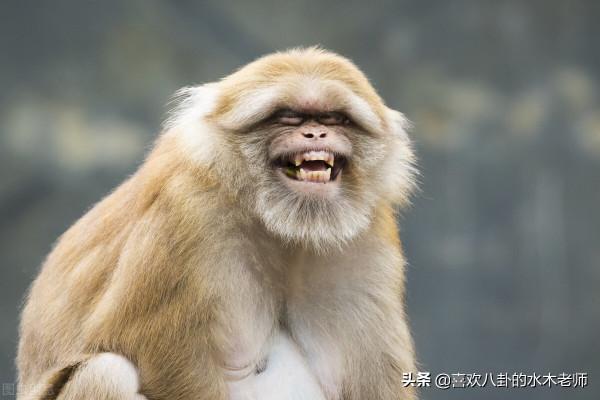 在美國待七年就不是平民百姓，這話兒怎麼說