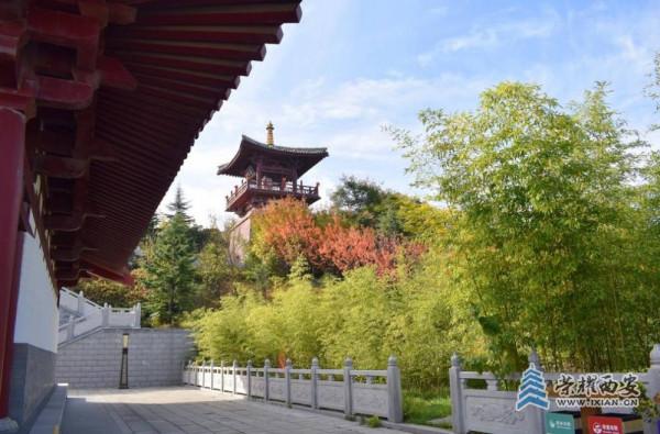 九月九|愛在重陽,福地樓觀 九月九|愛在重陽,福地樓觀