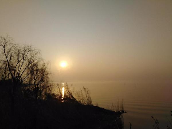 許多人讚美過的你