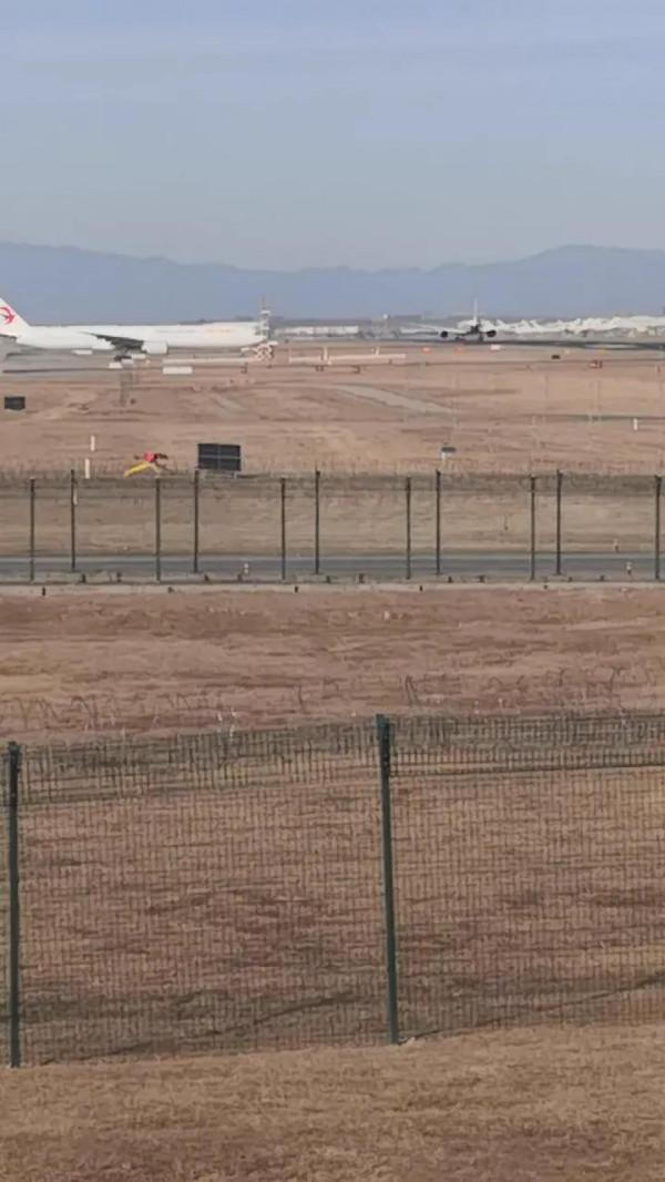 首都機場-西湖園公園可以看飛機，朝陽區管轄還是順義區管轄呢？