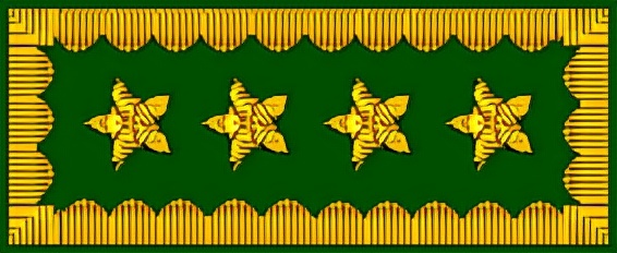 智利警銜標識 智利警銜標識