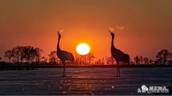 兩次北京奧運會，讓世界認識中國