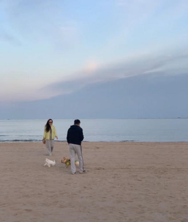 霍思燕胖到沒脖子!毛絨衫+西服褲盡顯貴婦氣場,被杜江扶好甜蜜 霍思燕胖到沒脖子!毛絨衫+西服褲盡顯貴婦氣場,被杜江扶好甜蜜