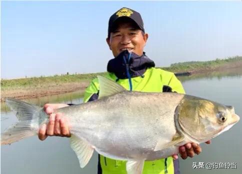 從兩條百斤大青到帶貨近1.6億,一夜爆紅,談釣王鄧剛的精彩人生 從兩條百斤大青到帶貨近1.6億,一夜爆紅,談釣王鄧剛的精彩人生