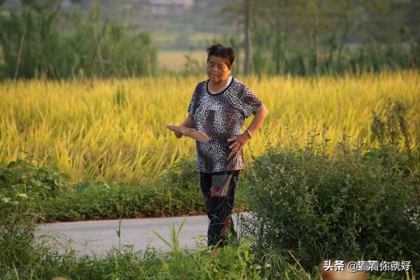 這幾種生意在賺錢,也不要入手可能國家要嚴查 這幾種生意在賺錢,也不要入手可能國家要嚴查