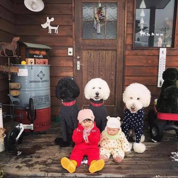 日本奶奶分享小孫女和三隻大狗狗的日常，治癒了56萬+網友…