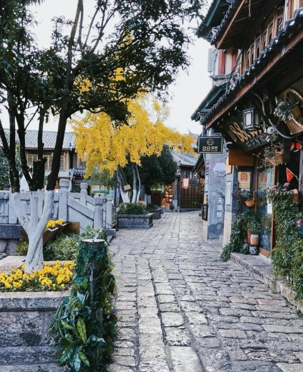 空蕩蕩的麗江古城，看著真難受