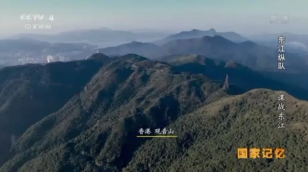 王力宏都塌房了，娛樂圈真正的清流在這裡